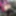 Pakistani Girls ki pictures 