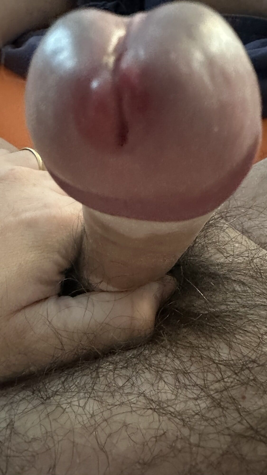 Cock #10