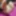 Indian New Hot top tane Sexy Photos 🔥