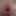 Open ass anal gaping inspection #2