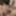 Mandatory weighing cagecheck plugcheck November 08, 2023