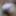 新しい写真