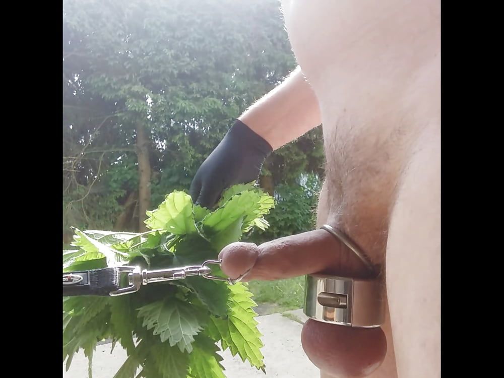 Nettles for my Cock #3