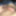 Dick content 
