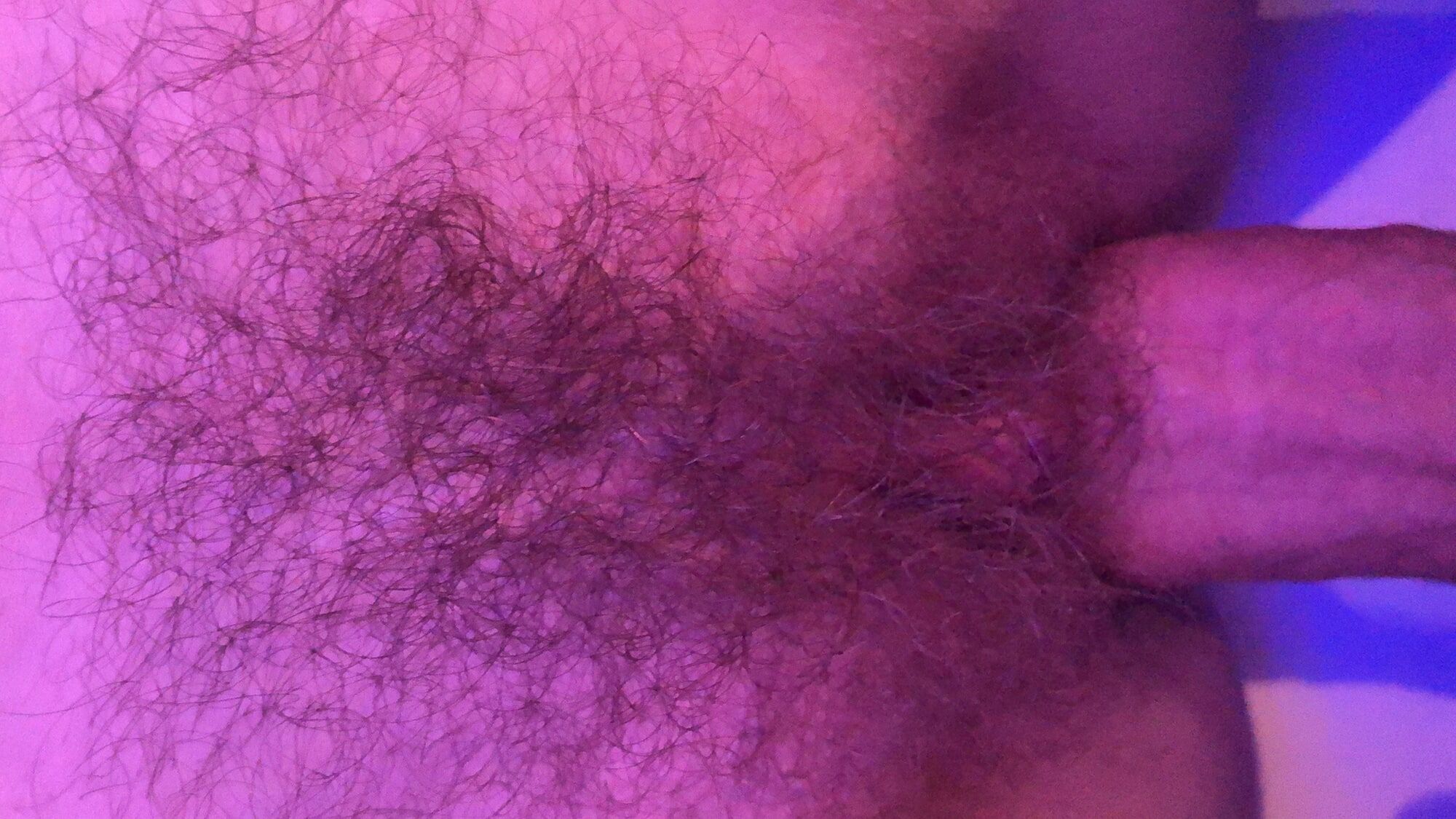 Wife bush over last 18 years, I love her hairy amateur cunt #49