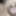 Nudes