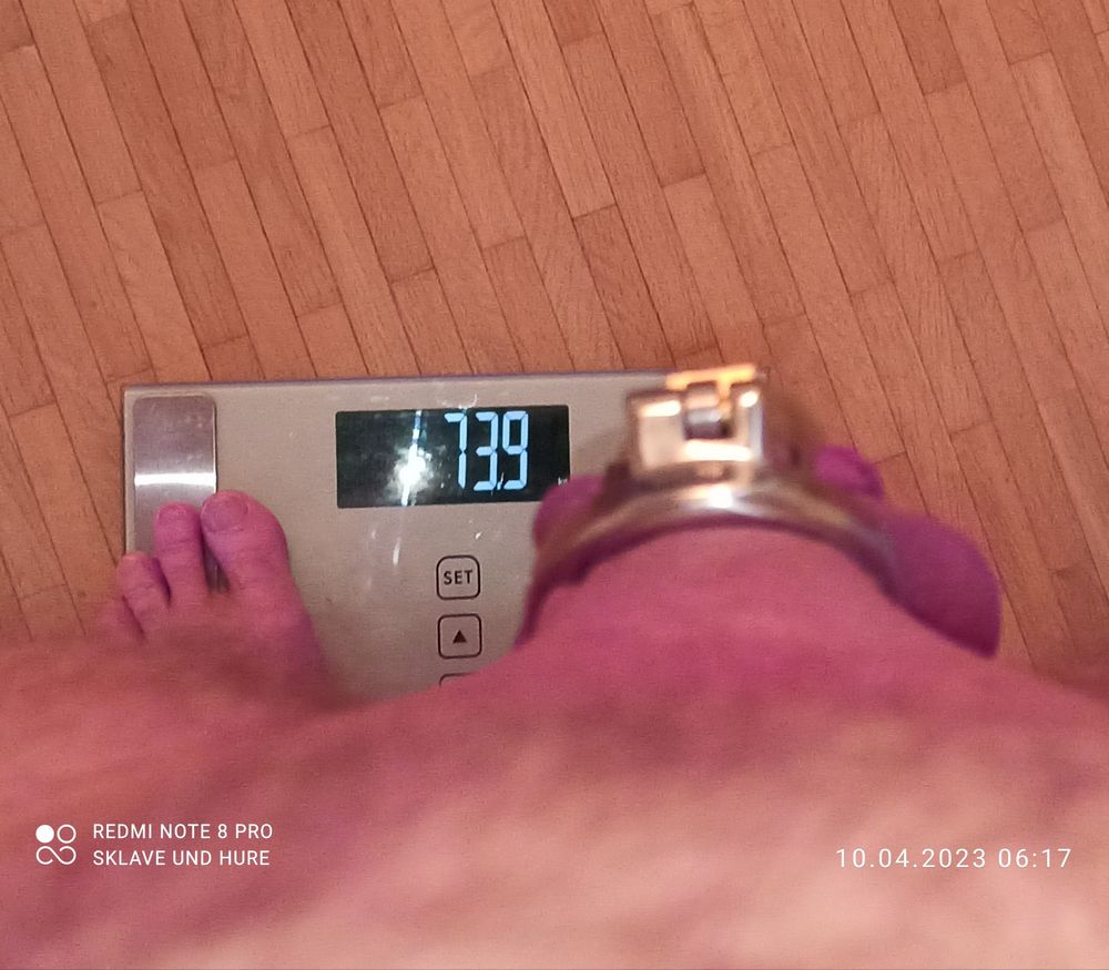 Masturbation, mandatory weighing and cagecheck of 10.04.2023 #10