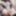 tease2 #16