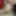 Blowjob Cum in Mouth