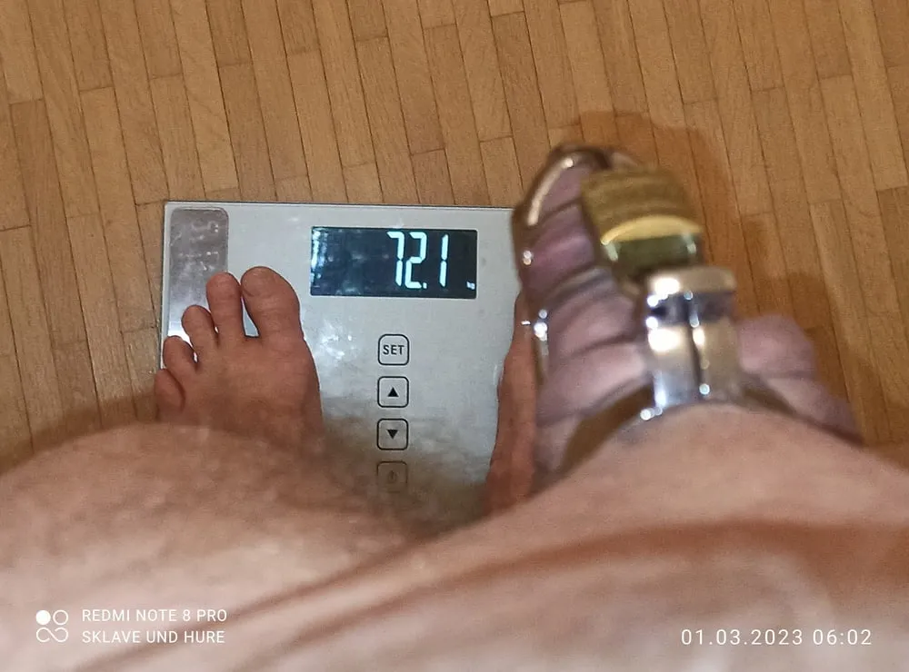 weighing with clamps, weights, cagecheck of 1.3.23 #5