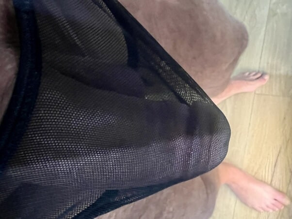 This weeks briefs  #5