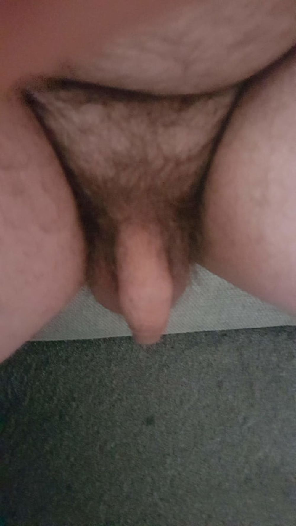 Cock  #2