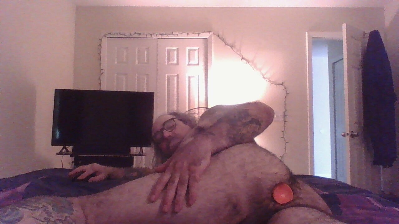 Naked polar bear 