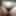 Pussy growing hair 5