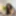 Marthina  Free Photos