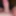 Meiner