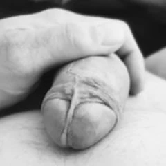Shaved Cock