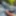 Lying on the forest floor , uncover my dick #2