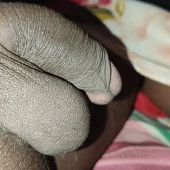sleeping cock