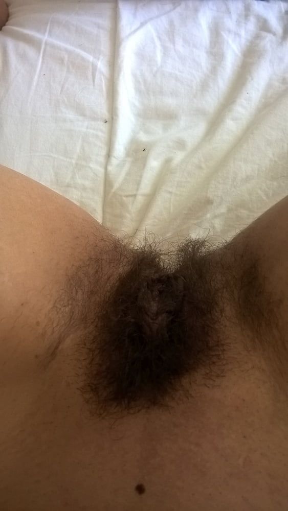 Mature Wife Hairy Pussy #14