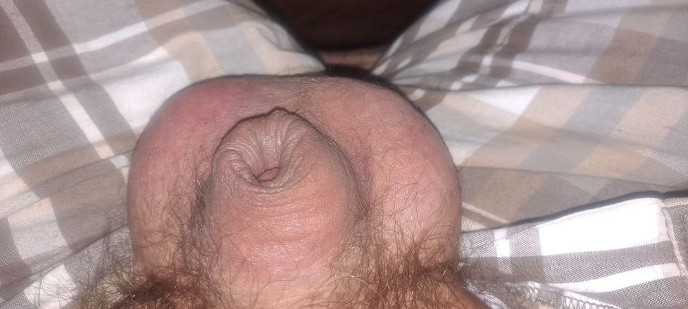 My Small Limp Penis  #8