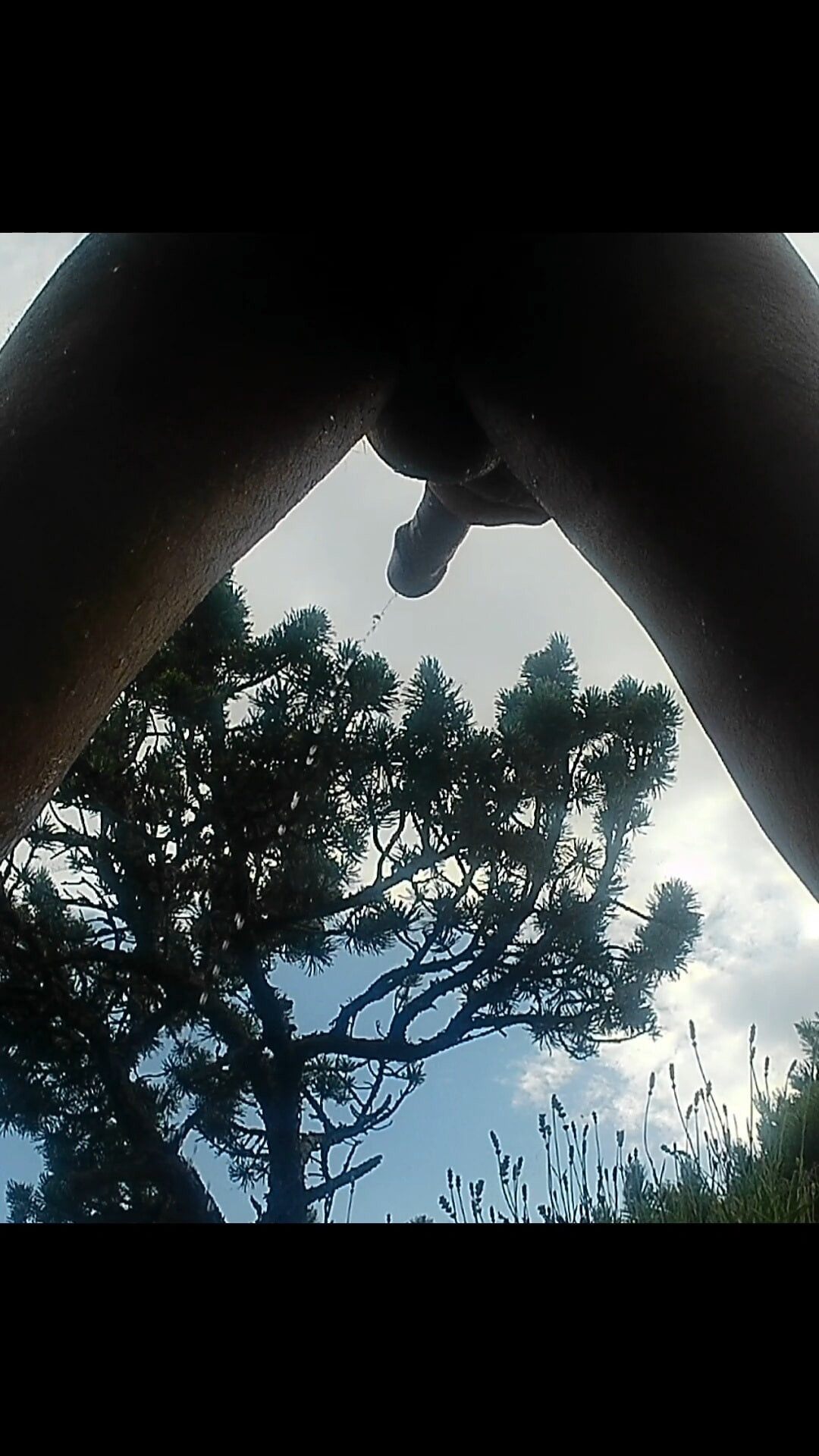 Hot Wolf Pissing #19