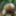 Voyeur - Masturbating In Forest