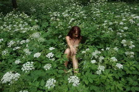 in white flowers           