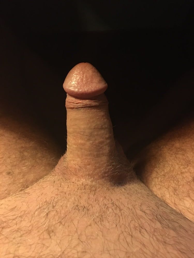 Cock  #11