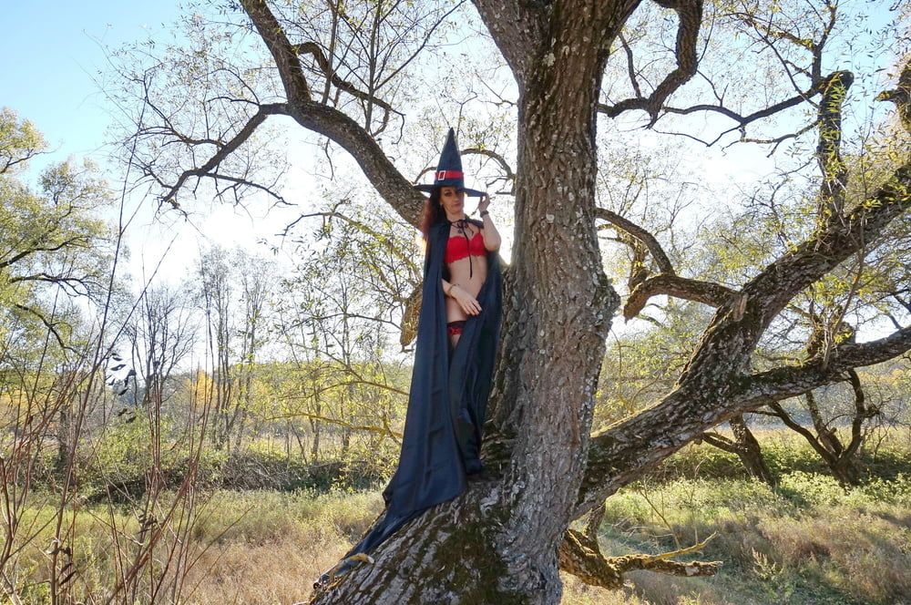 Witch on the Tree #51