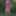 Flowered dress #37