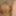 Amateur Latina Blonde Sofi Banged in Her Pussy by Two Studs #2