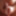 Cock closeup twitching and cumming compilation stills #8
