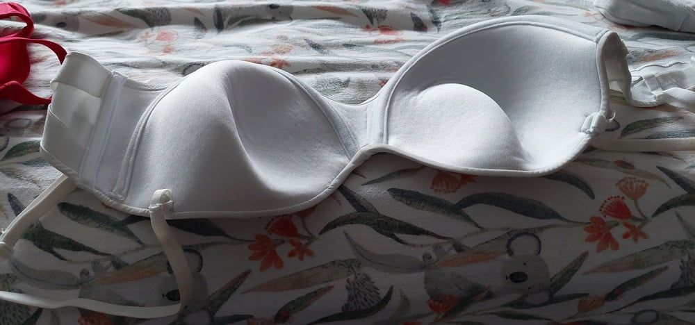 More of my Neighbour's dirty panties and bra #8
