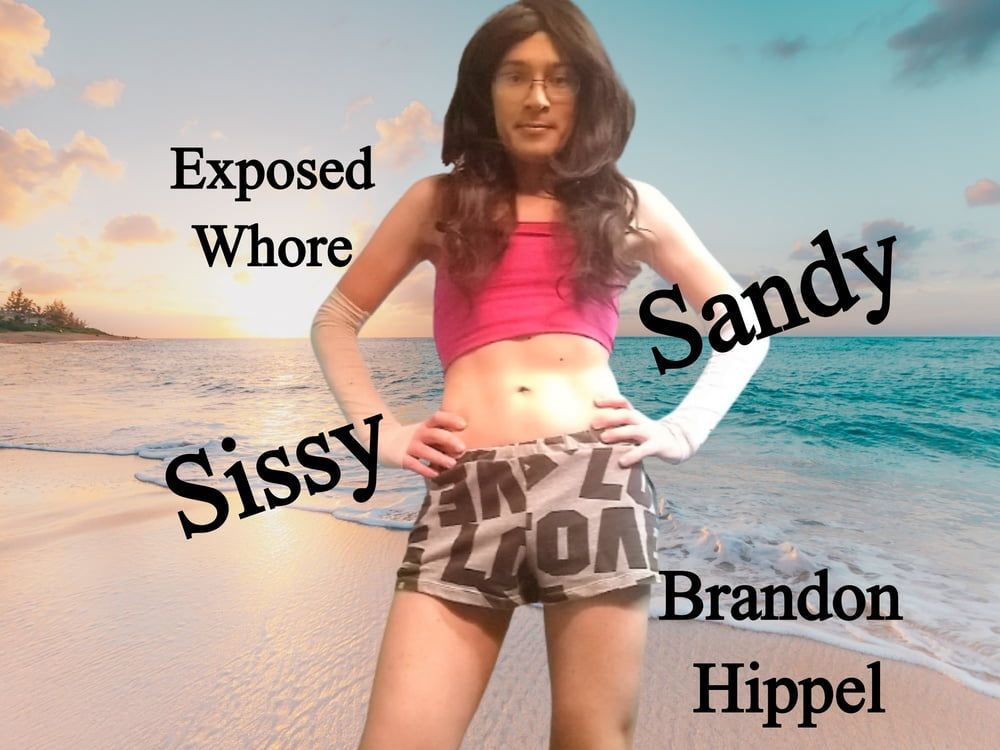 Sissy Sandy Exposed 2, SissySandyy20, Brandon Hippel #2