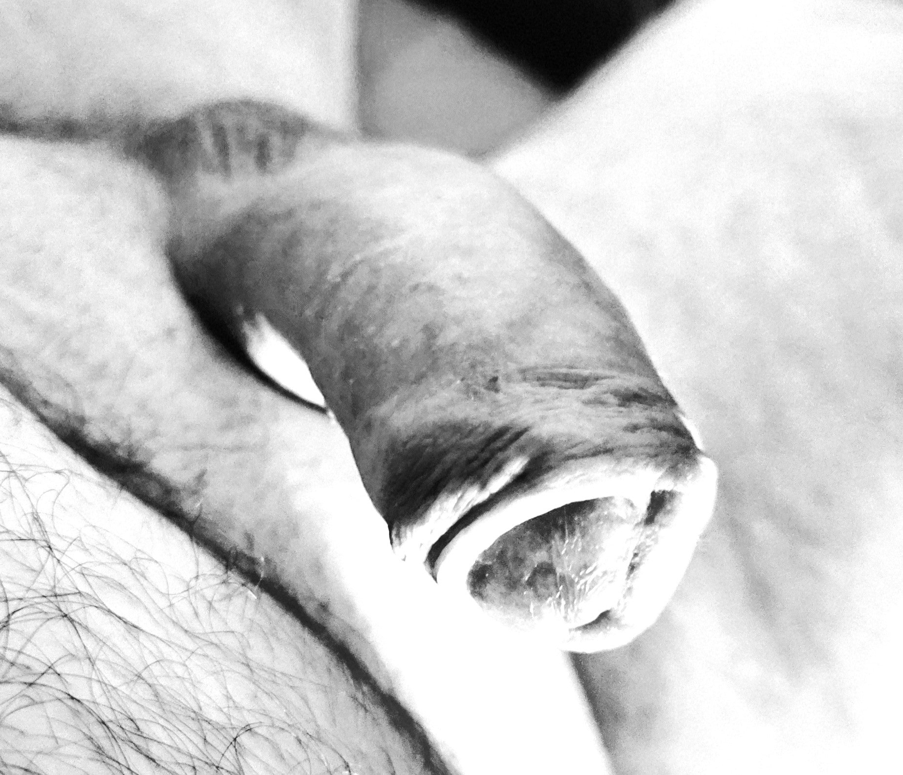 Black & White 