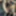 outdoor Riesentitten besamt ( . ) ( . )