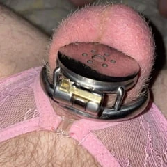 pussy free