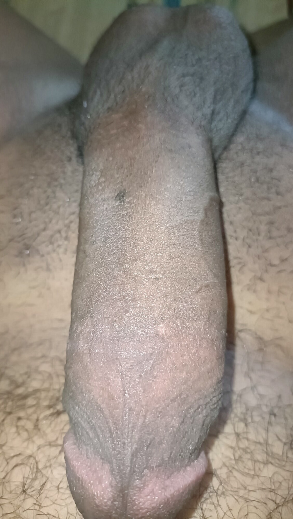 My Dick  #17