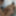 Thick Ass Girlfriedns Lesbians Massage
