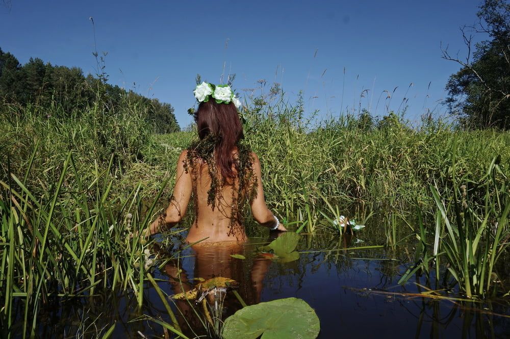  In Pond with Waterflowers 2 #36