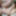Shino Aoi :: Sexual Dream Comes True 2019 - CARIBBEANCOM #23