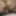 My beautiful Asian wife ride cock