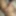 My dick pics