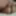 CD and ass, self fuck #31