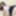 Cute schoolgirl cannot have enough of me #55