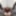 GROOBY-ARCHIVES: The Return of Libbey Harper! #5