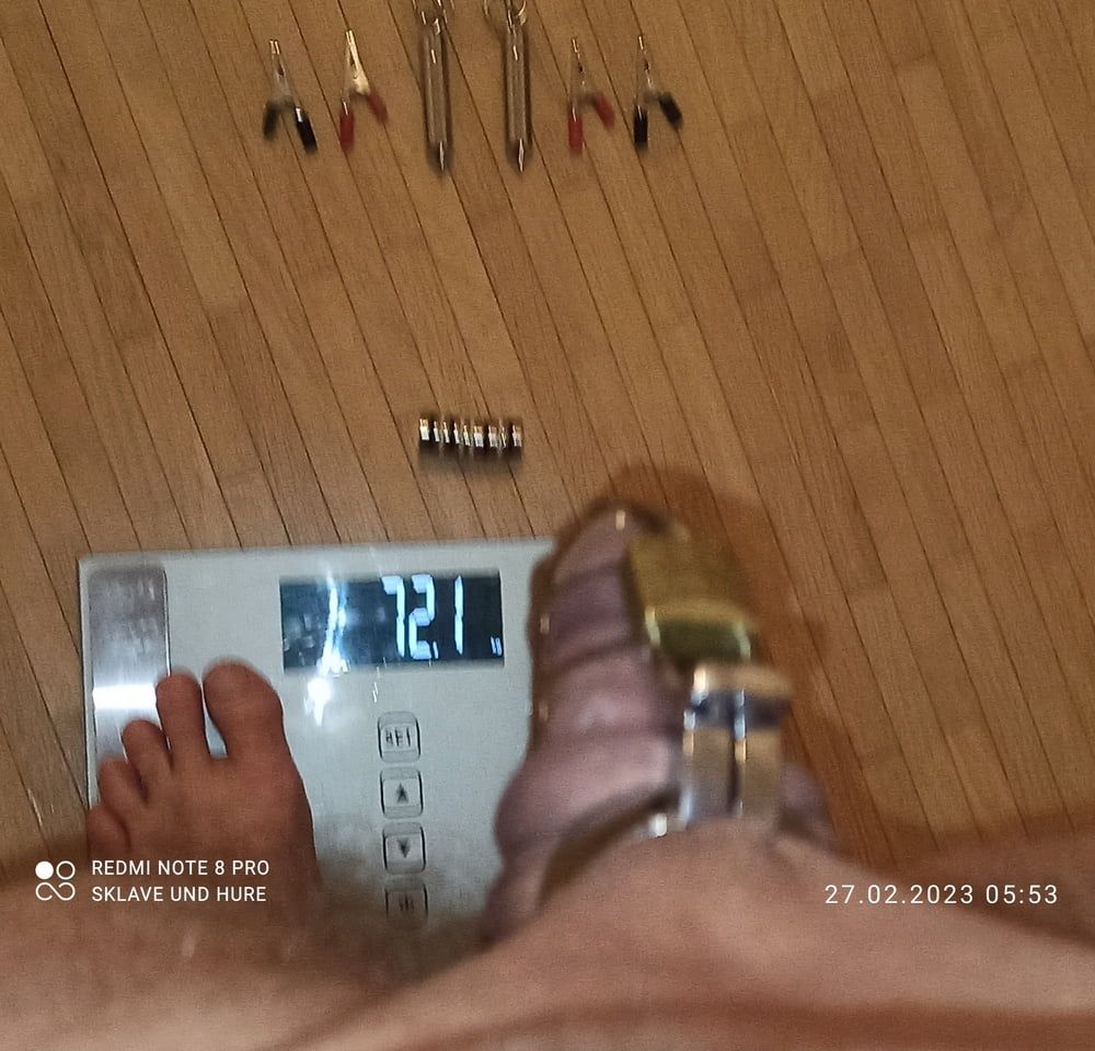 weighing, cagecheck, clamps, plug of 27.03.2023 #3