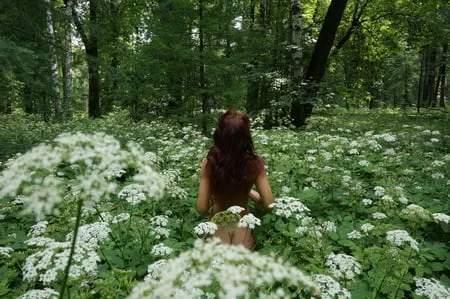 in white flowers           