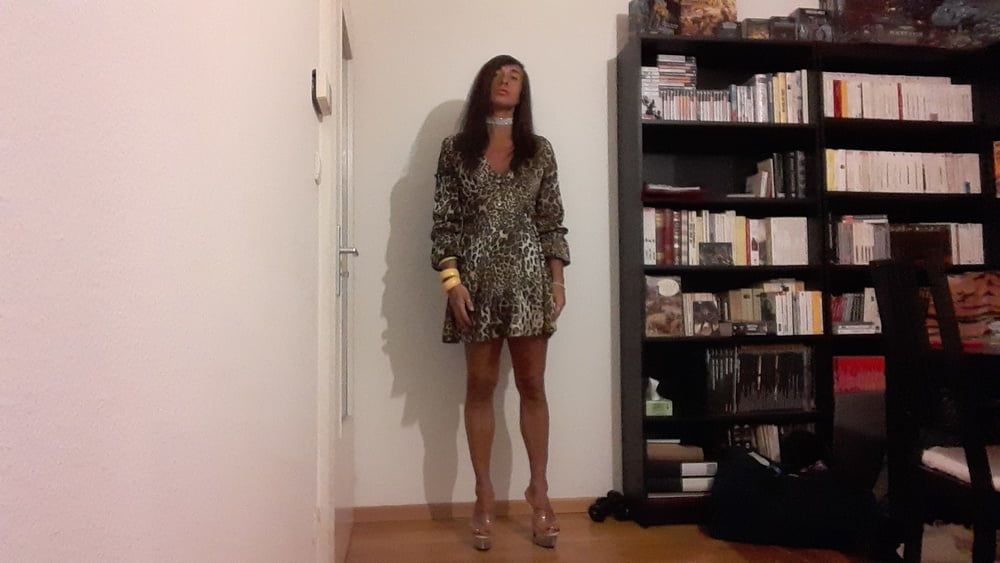 Sissy Tygra in leopard dress on 2019 octobre. #24